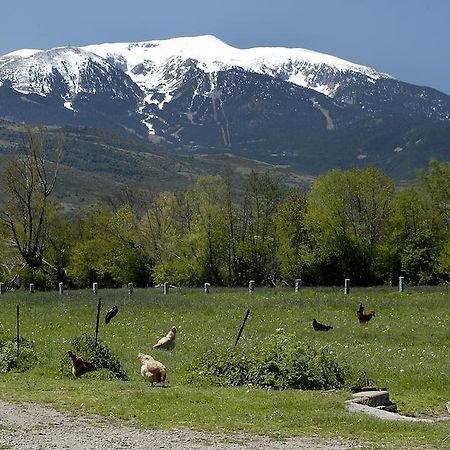 Mas Mallol Puigcerdà Zewnętrze zdjęcie