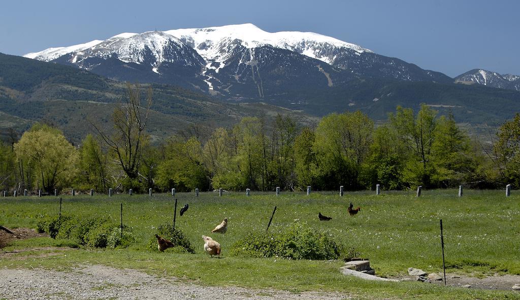 Mas Mallol Puigcerdà Zewnętrze zdjęcie